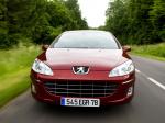 Peugeot 407 2008 года (WW)